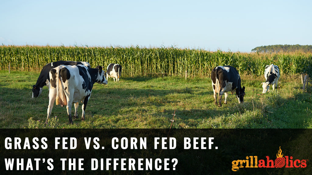 Grass Fed vs. Corn Fed Beef. What's the Difference?